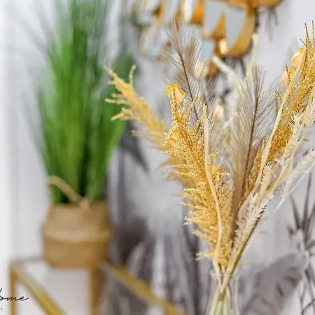 Gout De Luxe A T3 Climatise, Spa, Parking *